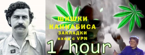 СК Балахна